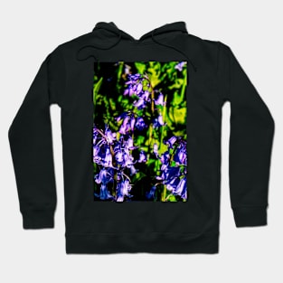 Bluebells in Sunlight Hoodie